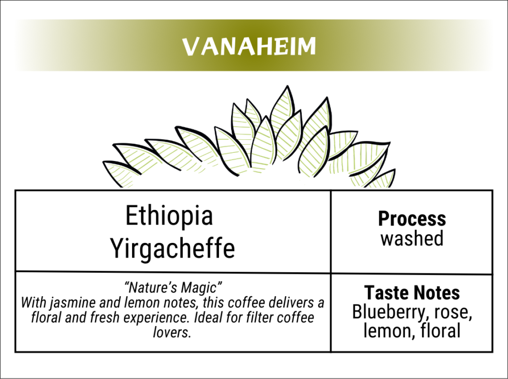 Ethiophia yirgacheffe - Image 2