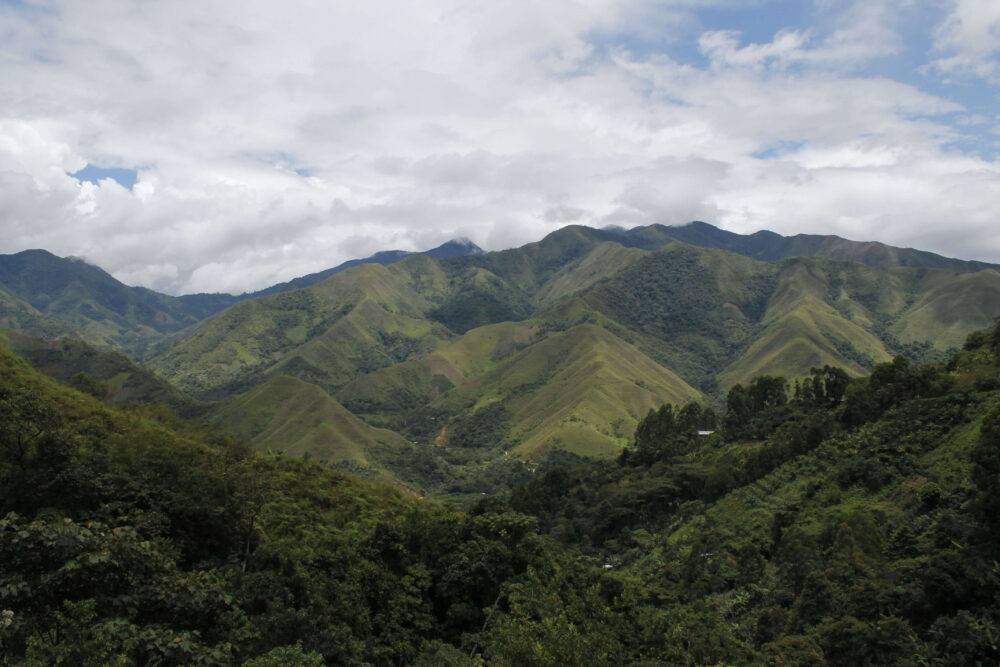 RFA Peru MCM G1 - Image 3